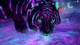 Фиолетовый тигр пьет воду