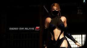 Sarah Bryant from Dead or Alive 5
