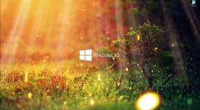 Windows 10 logo on the background of nature