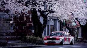 Classic JDM car under sakura