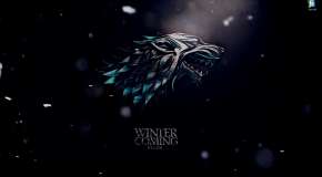Starkey - Winter is Coming - Game of Thrones